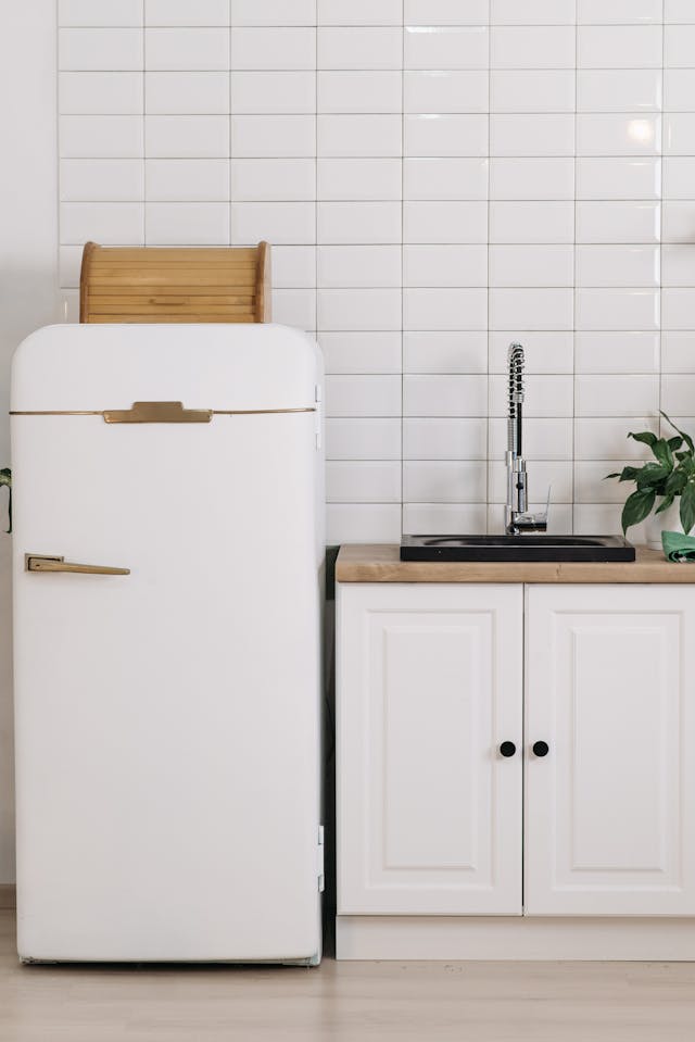 fix a fridge making vibrating noise